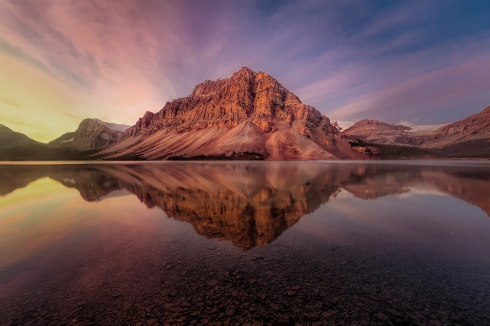 Photograph by Brian Adamson