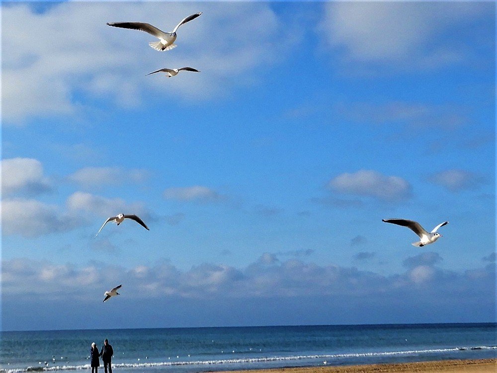 В свободном полете