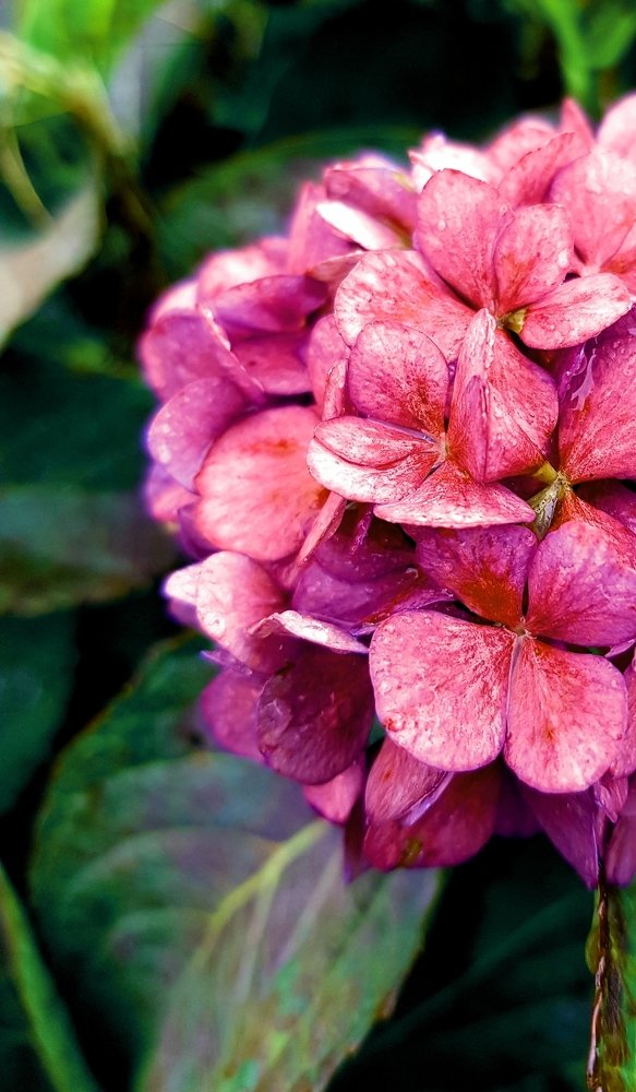 Photograph by Mila Zahoff