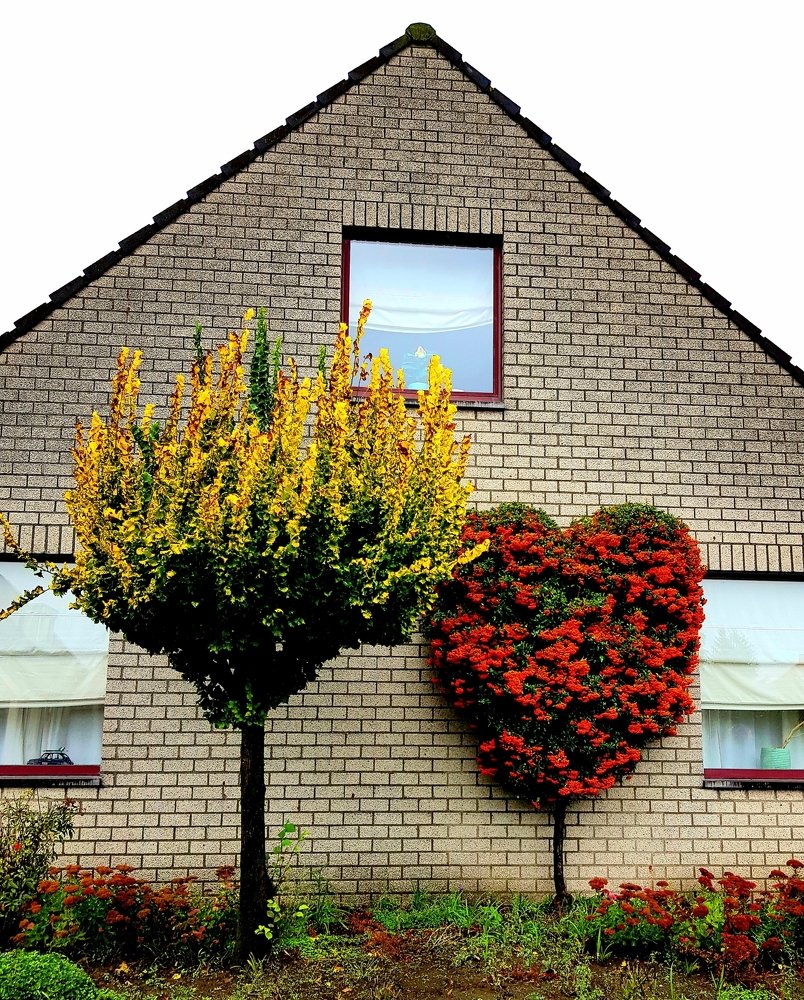 Photograph by Mila Zahoff