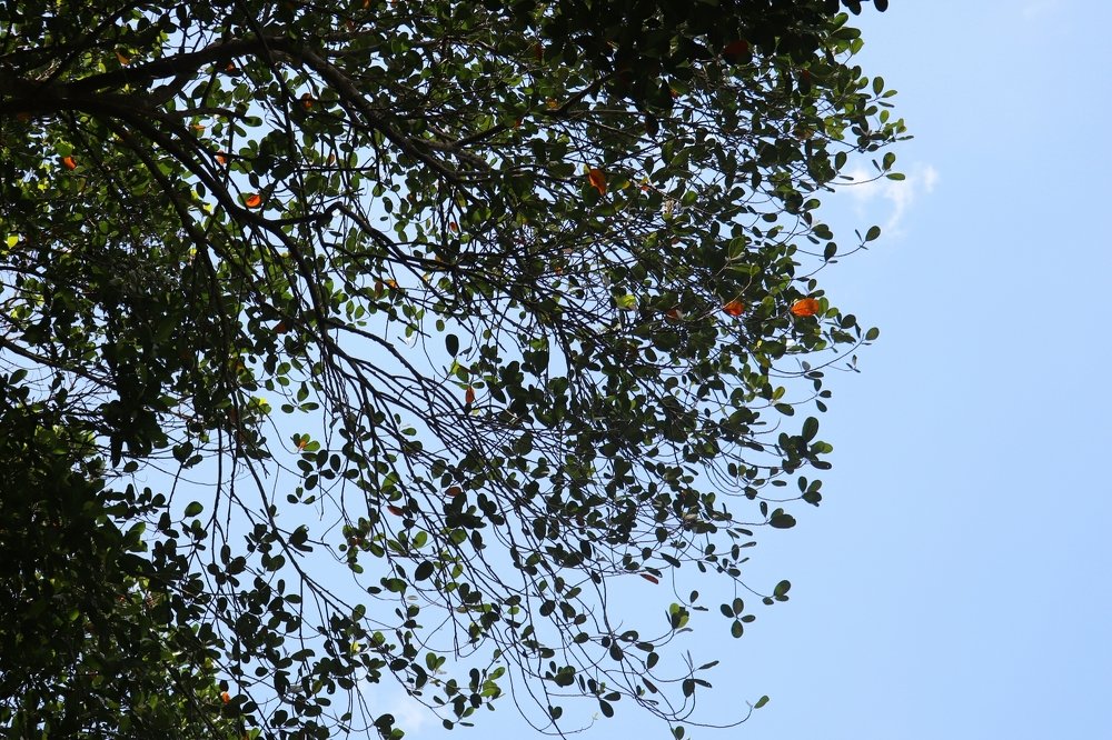 Photograph by  Reena