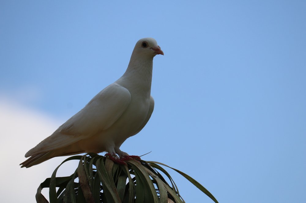 Photograph by  Reena