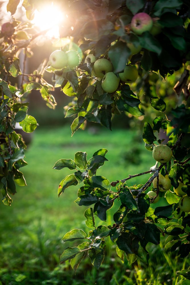 Photograph by Арина Кулакова