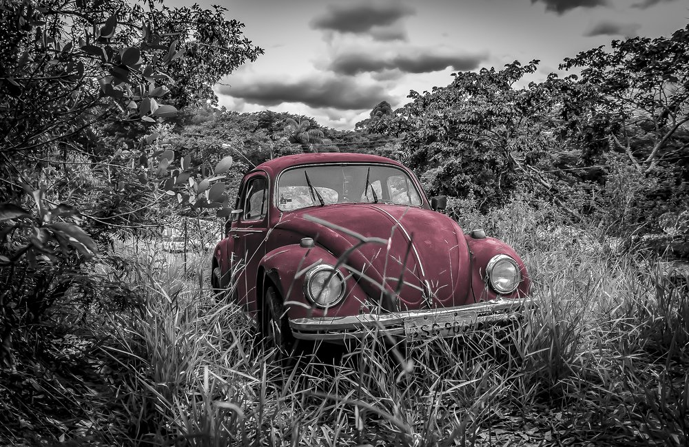 Photograph by Edmarcos Carvalho