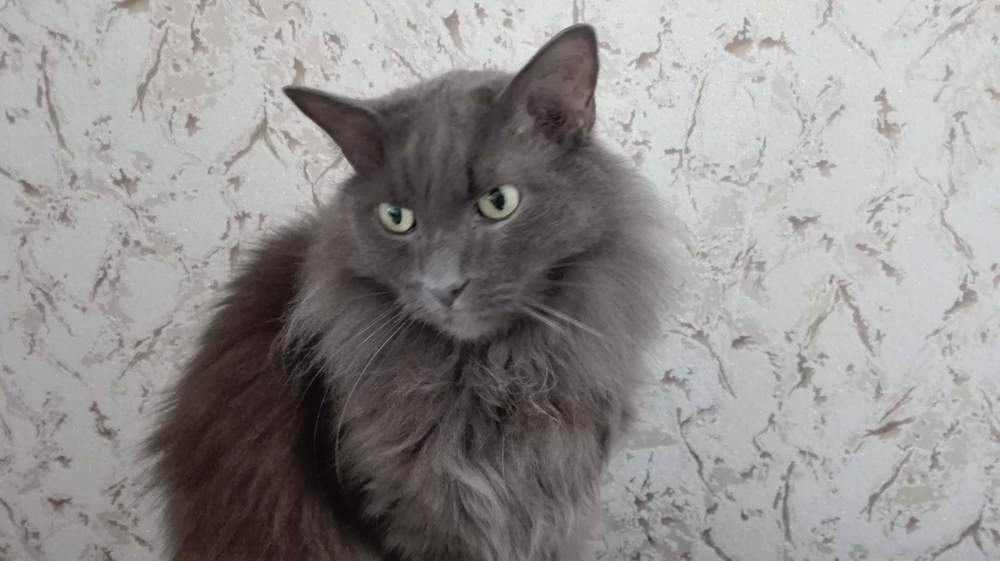 Размышление