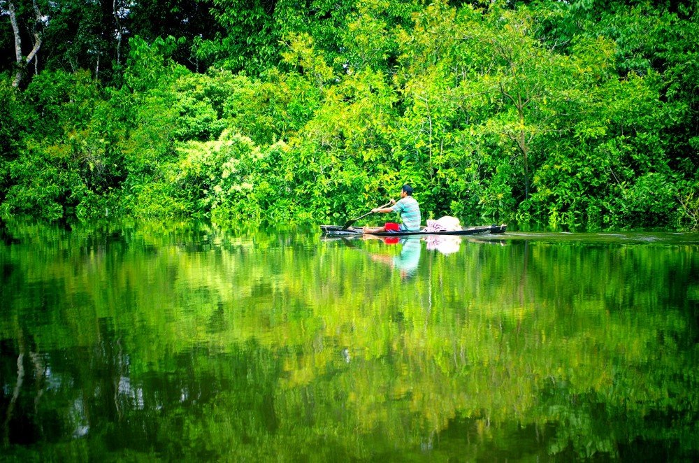 Branch of the Amazon river in Colombia