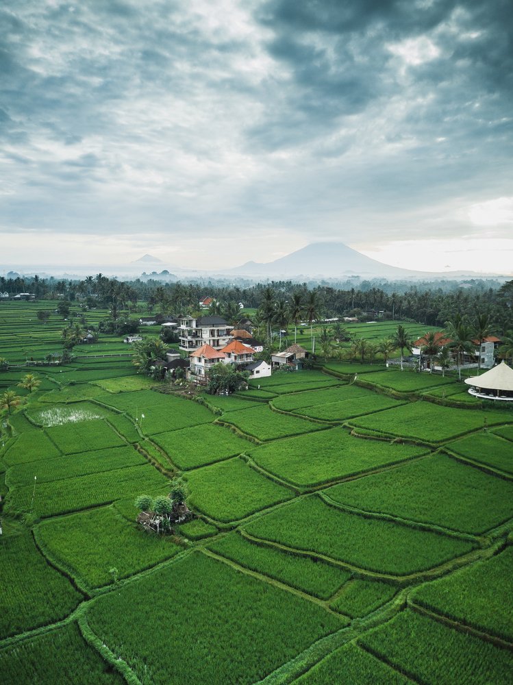 Фотография автора Dmitry Leonov