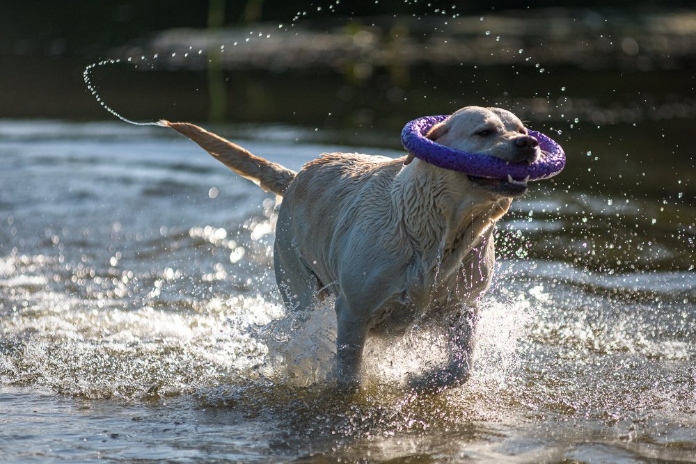 Фотография автора Юрий Юрьев