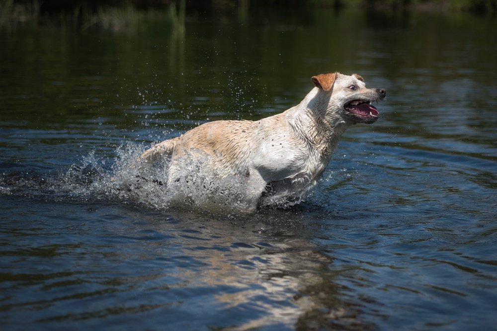 Фотография автора Юрий Юрьев