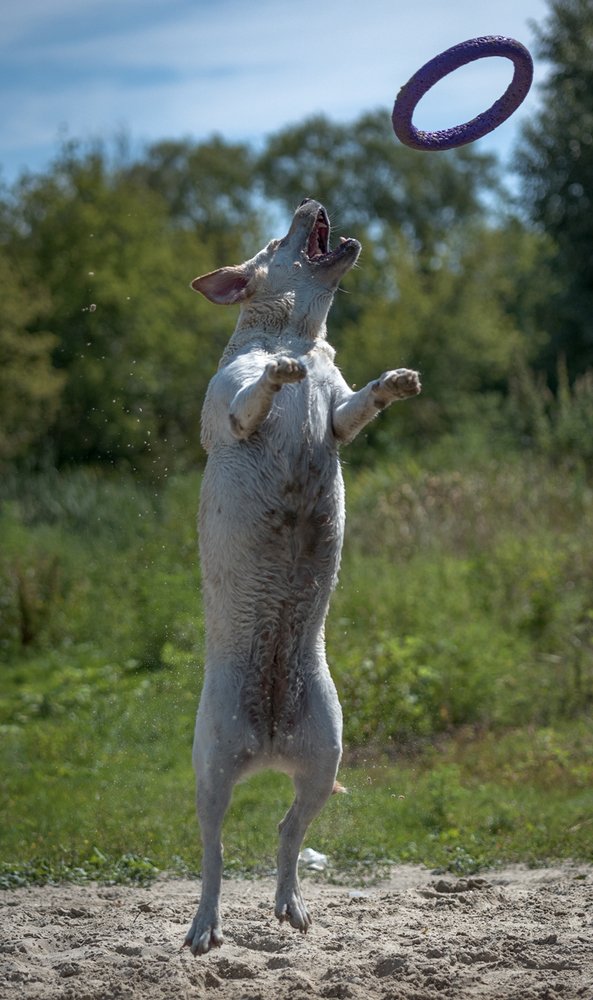 Фотография автора Юрий Юрьев