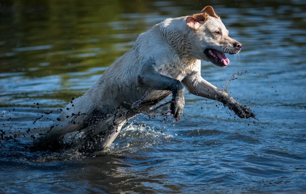 Фотография автора Юрий Юрьев
