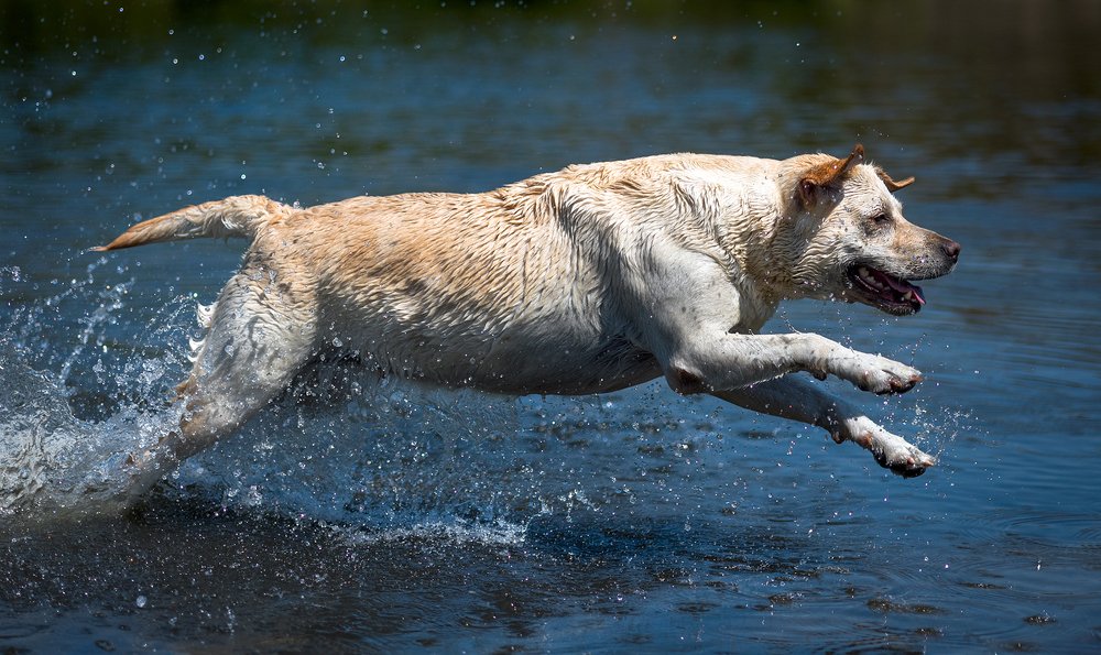Фотография автора Юрий Юрьев