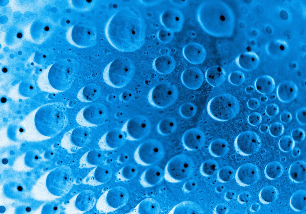 Фотография автора Evgeniya Fedorova