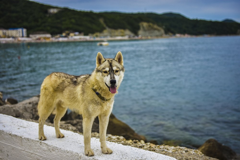 Photograph by Василий Ярошенко