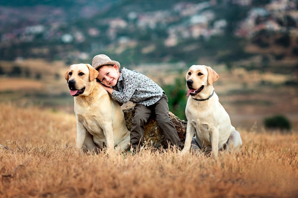 Photograph by Natalia Serebrennikova
