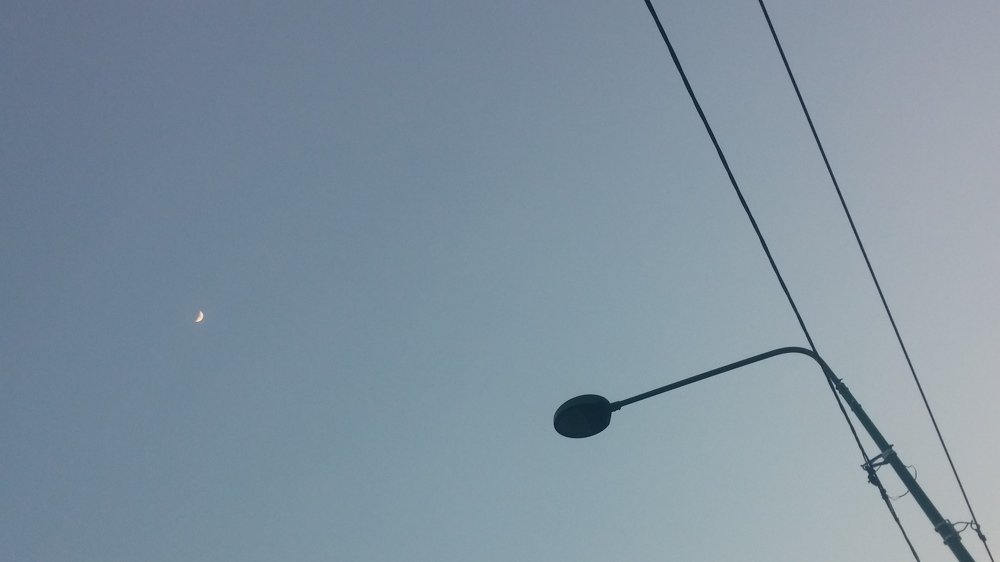 Photo #3689134