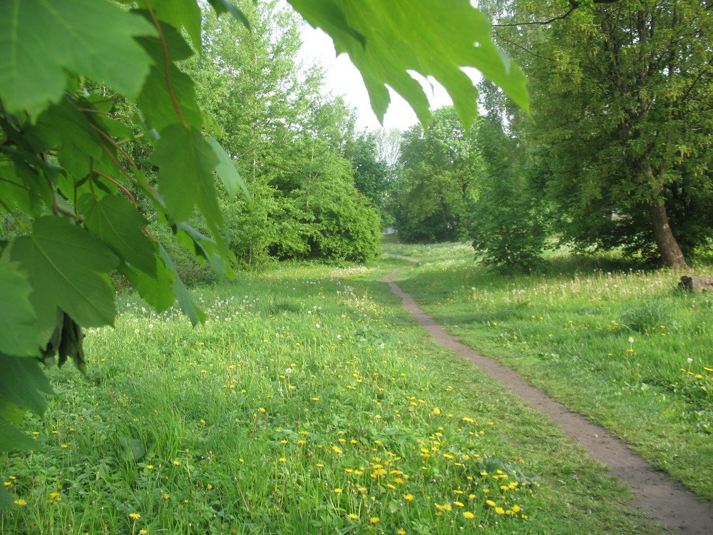 Куда, куда тропинка ты ведешь?