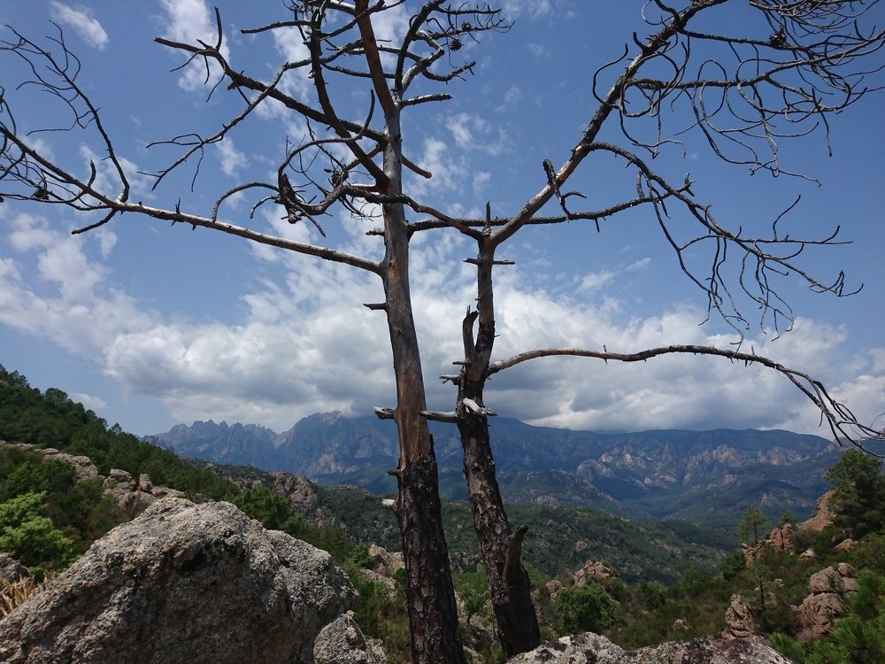 Photograph by Victor Movila