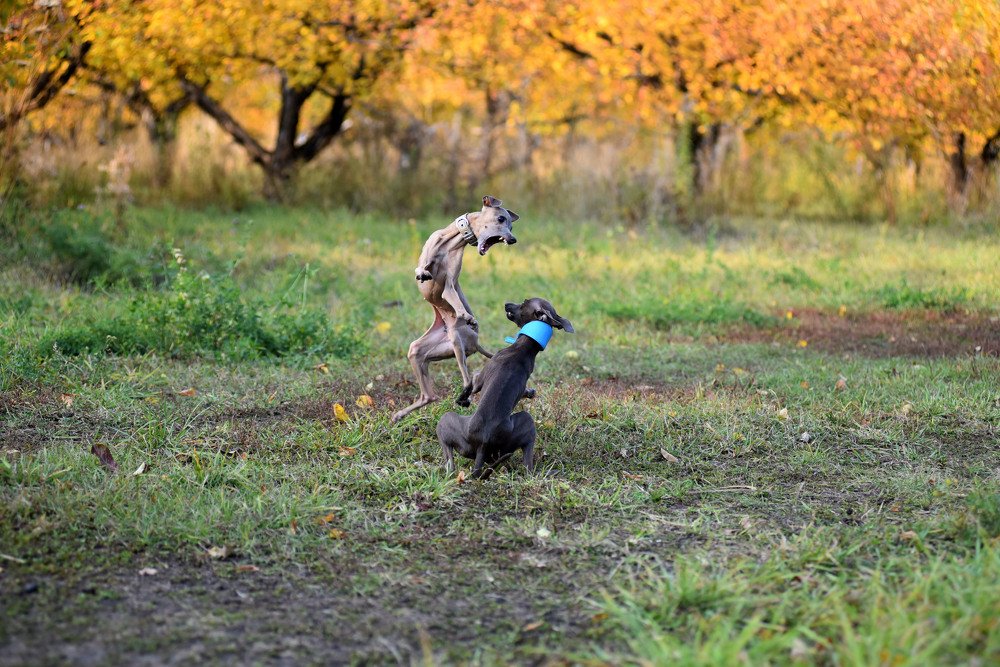 Photograph by наталья залогина