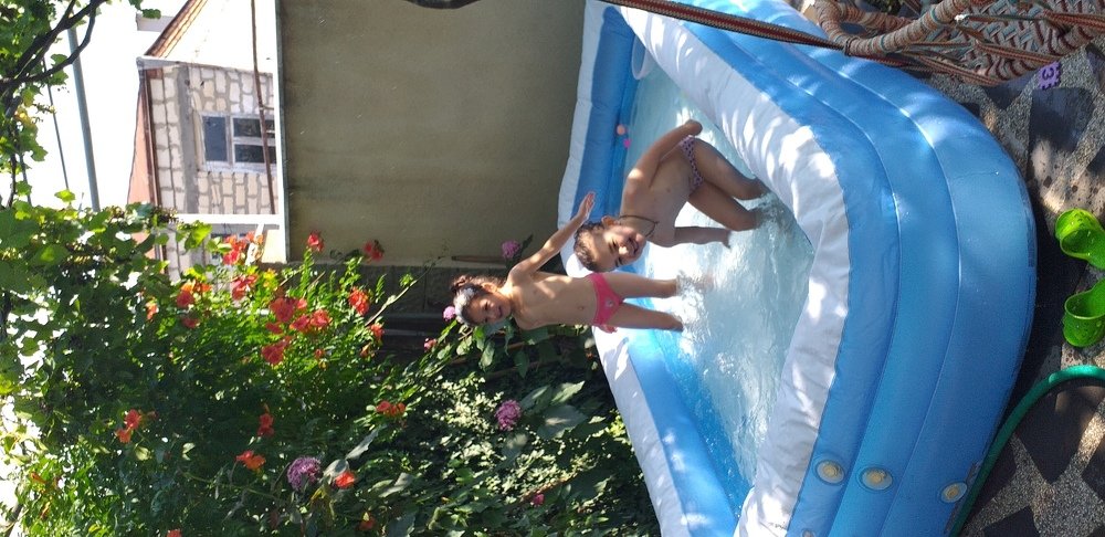 Photo #3689225