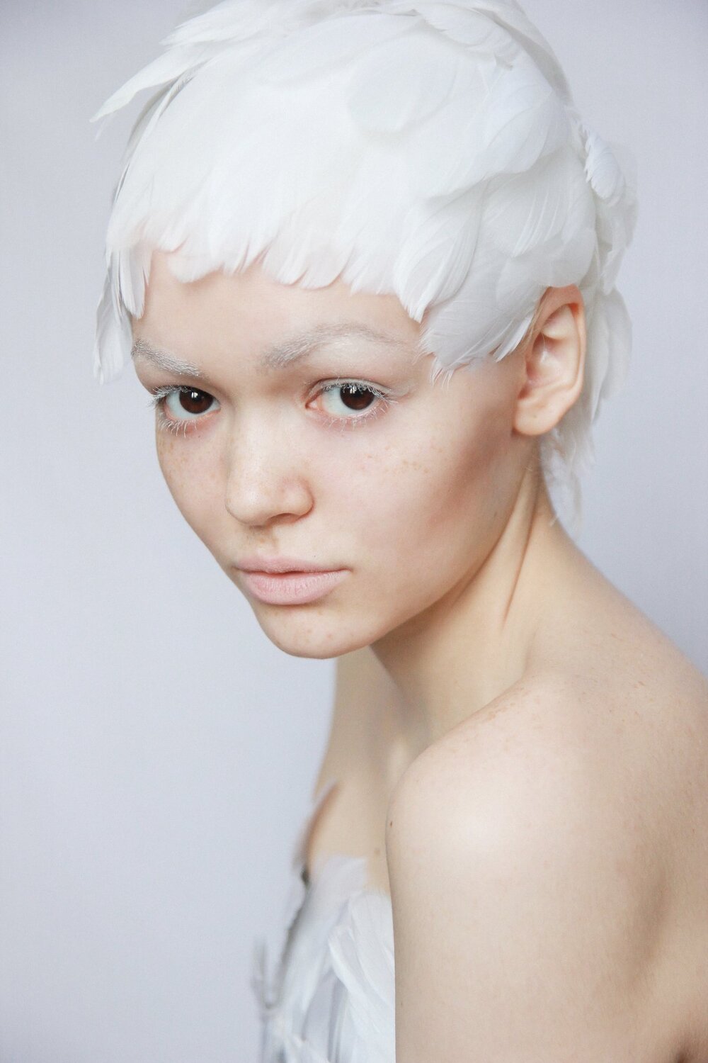 Photo #3689301