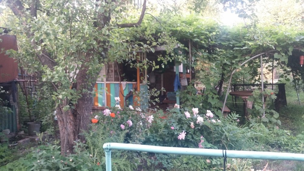Photo #3689308