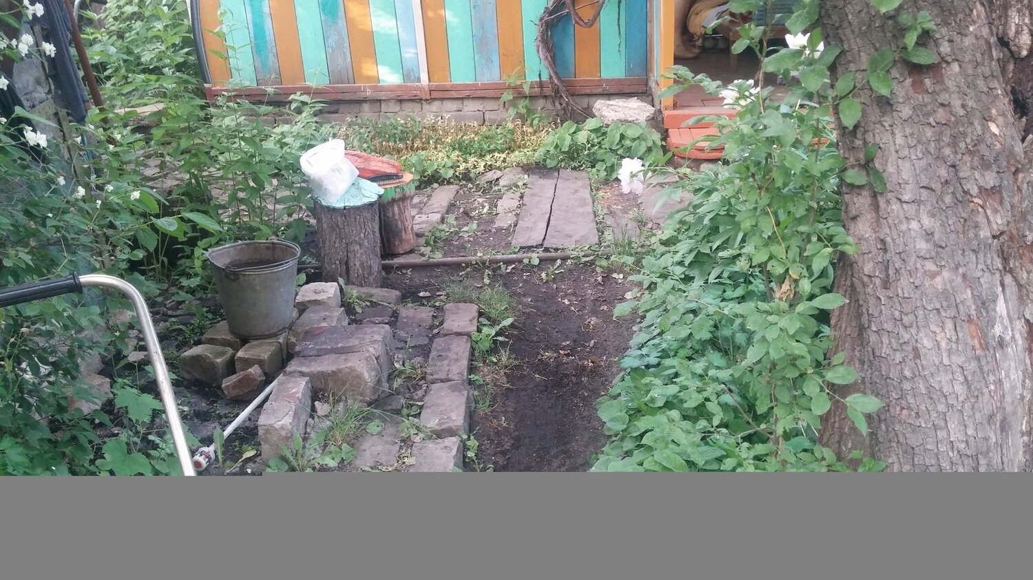 Photo #3689315