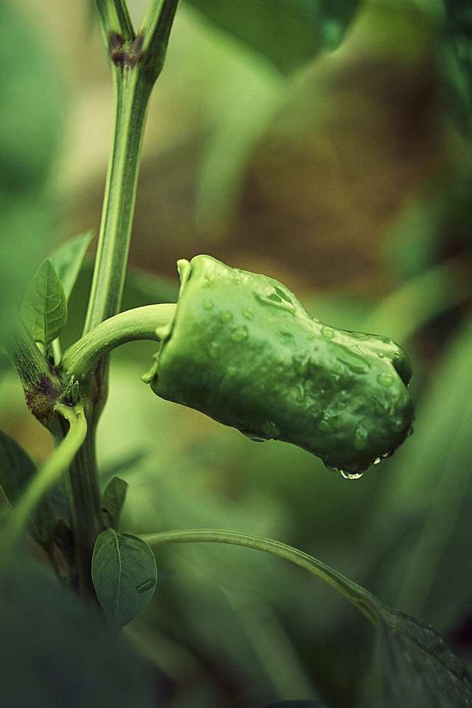 Photograph by Екатерина Бокова