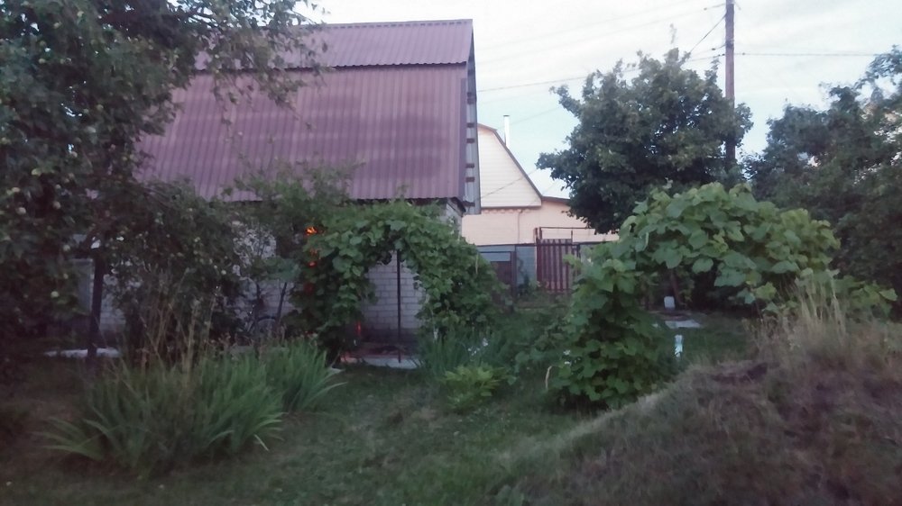Photo #3689332