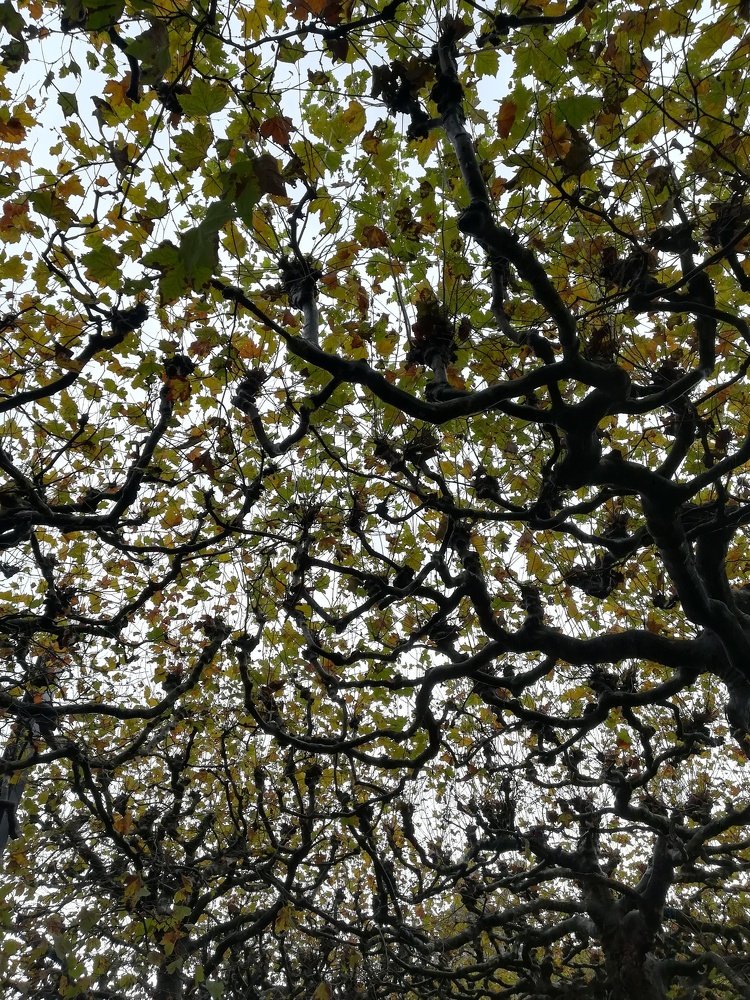 Photograph by Victor Movila