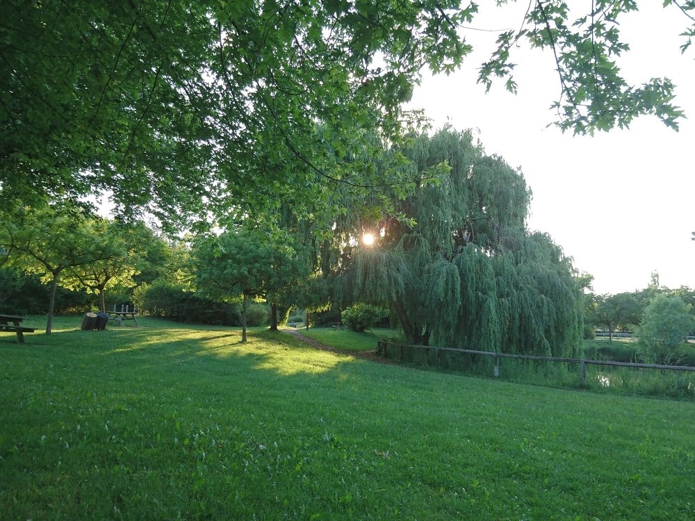 Photograph by Victor Movila