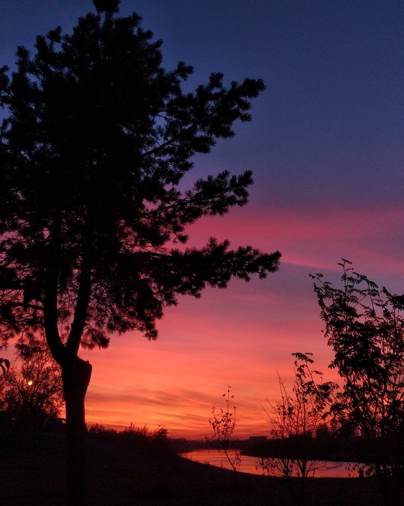 Photograph by Алексей и Юлия Дарьины