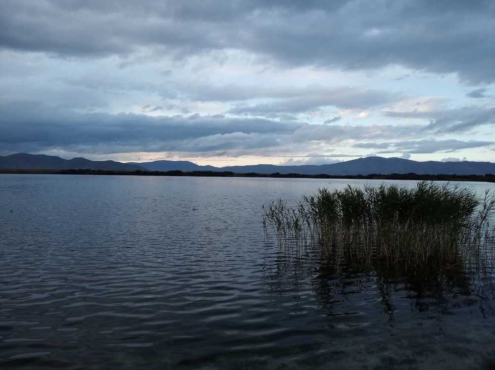 Photograph by Каринэ Асатрян