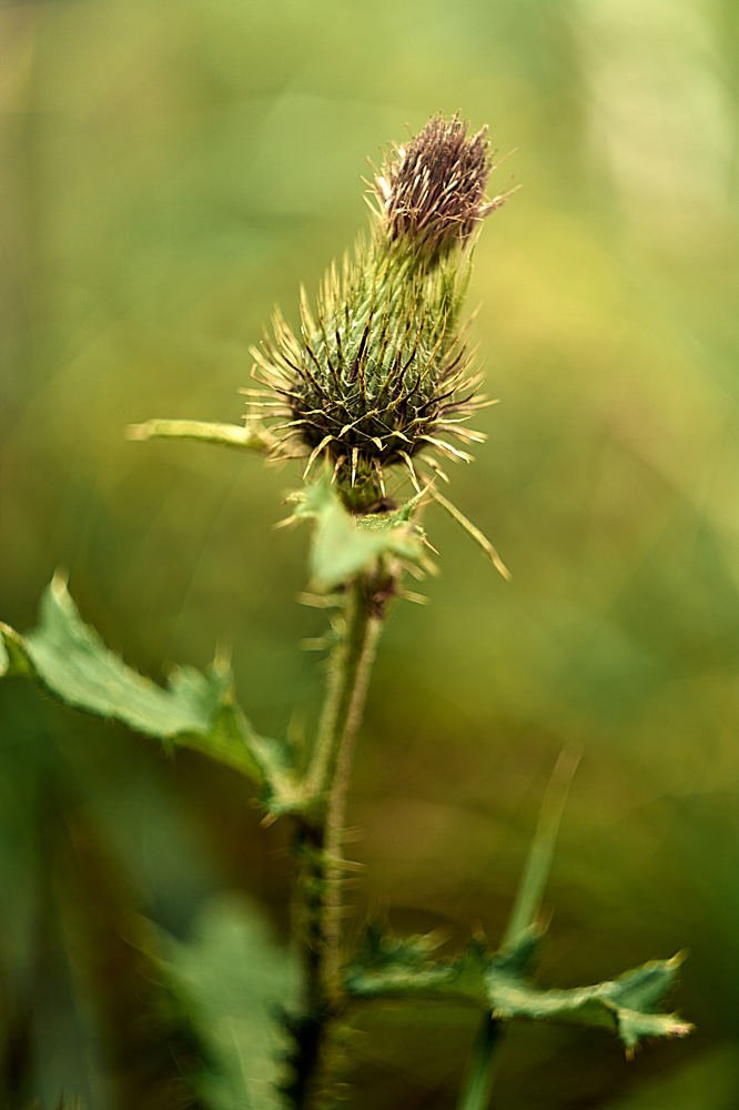 Photograph by Екатерина Бокова