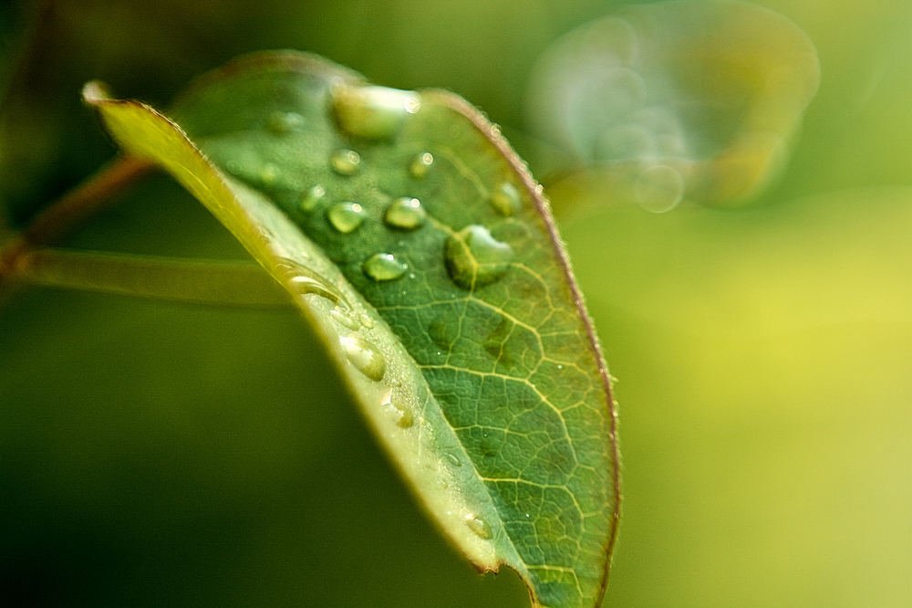 Photograph by Екатерина Бокова