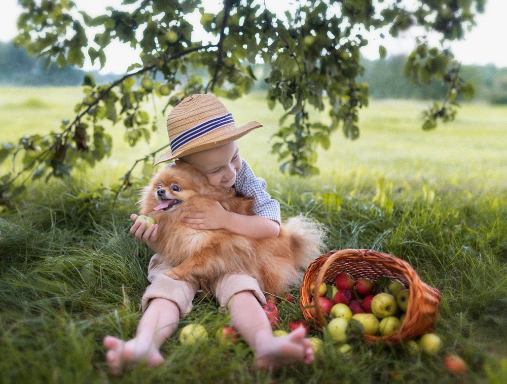 Photograph by Элеонора Чернова