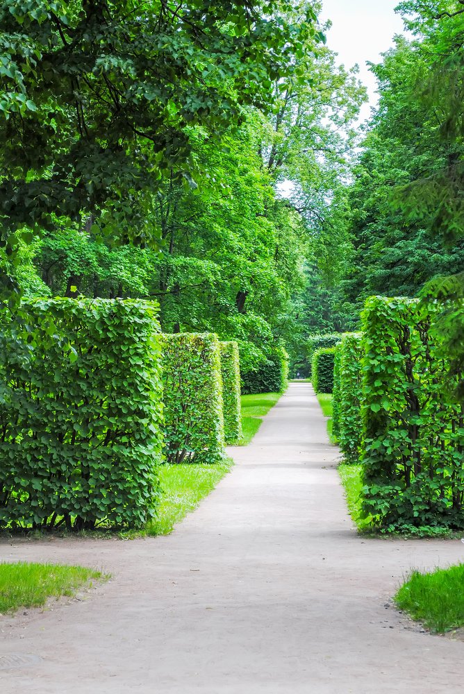 Photograph by Сергей Ляшенко