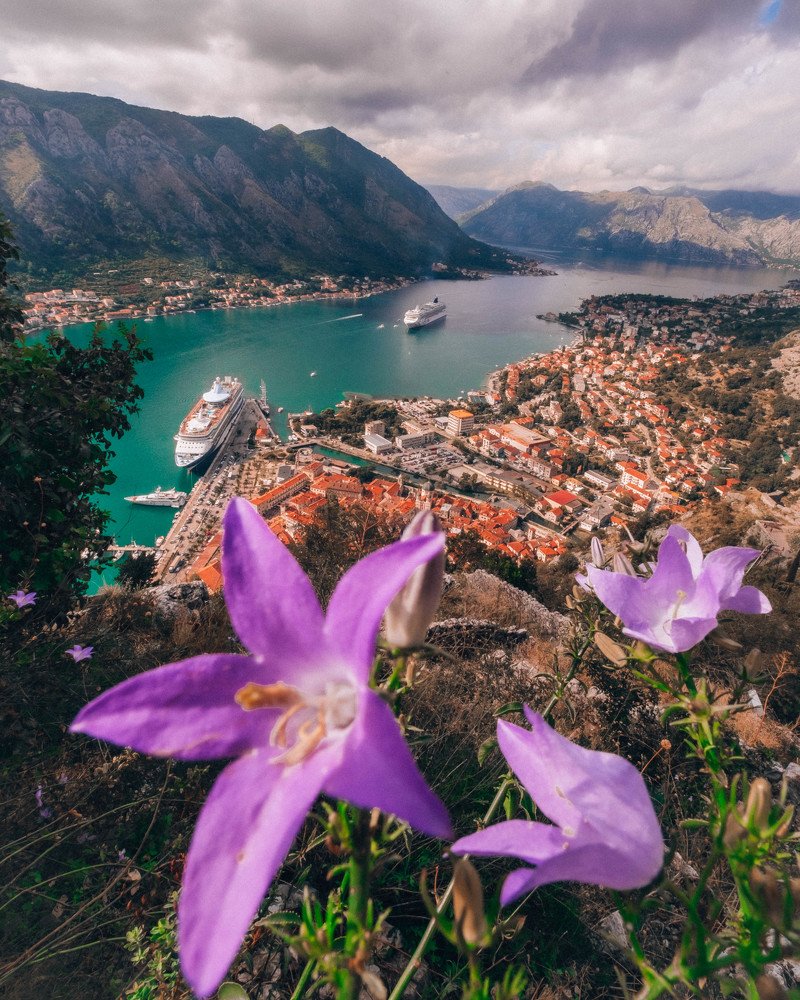 Photograph by Evisa Kasaj
