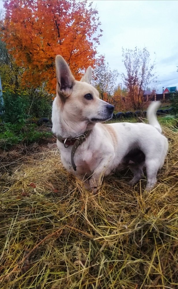 Photograph by Татьяна Афанасьева