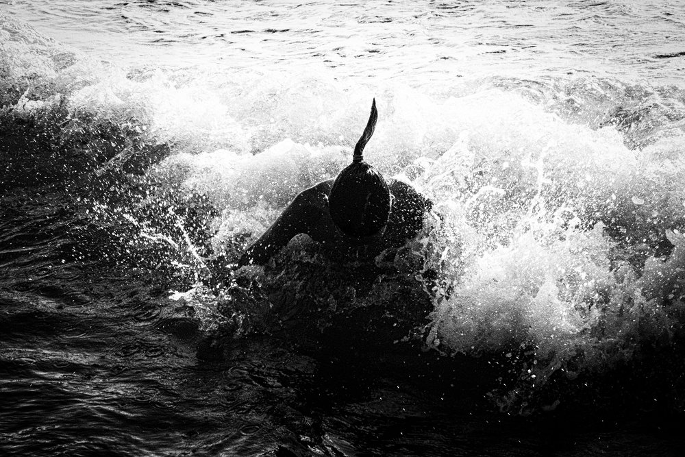 Photograph by Дмитрий Бахтадзе