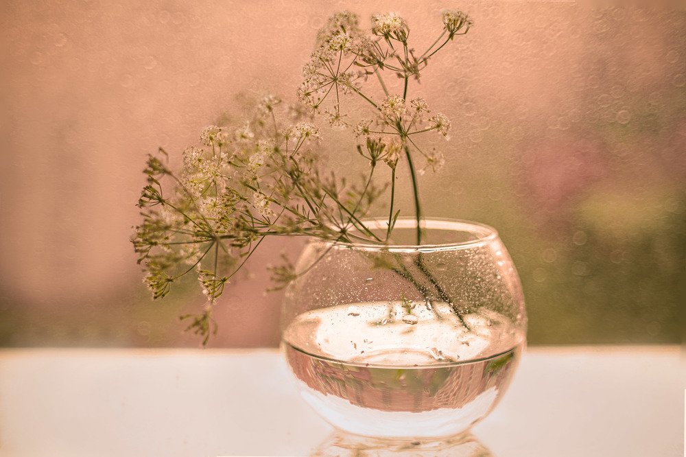 Розовый сон