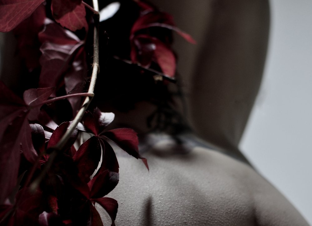 Photograph by Alexandra Sasha