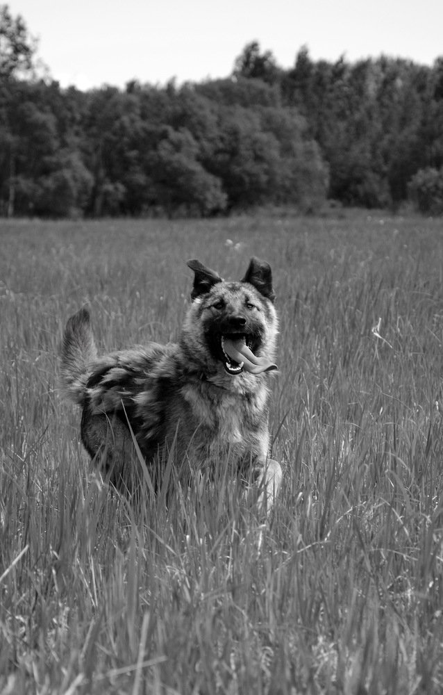 Photograph by Миронова Ульяна