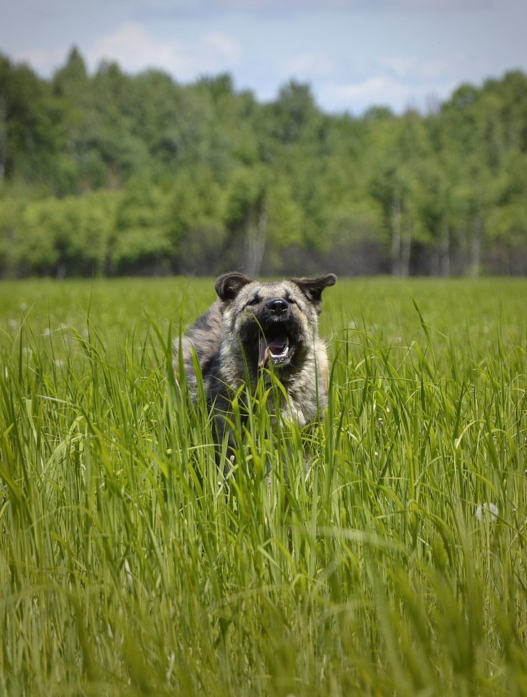 Photograph by Миронова Ульяна