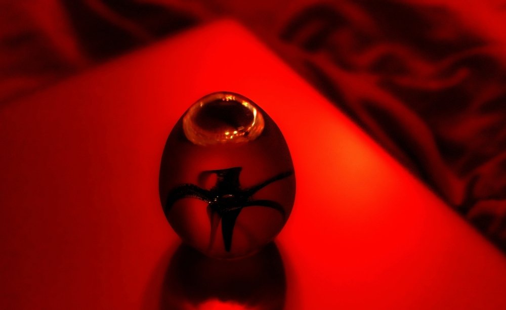 Photograph by Alexandra Sasha