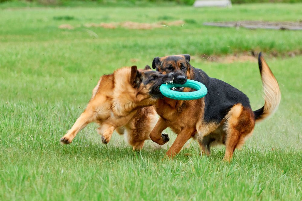 Photograph by Константин Кузнецов