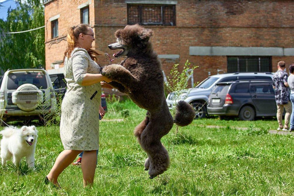 Photograph by Константин Кузнецов