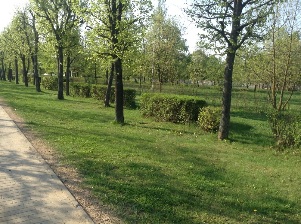 Photo #3690007