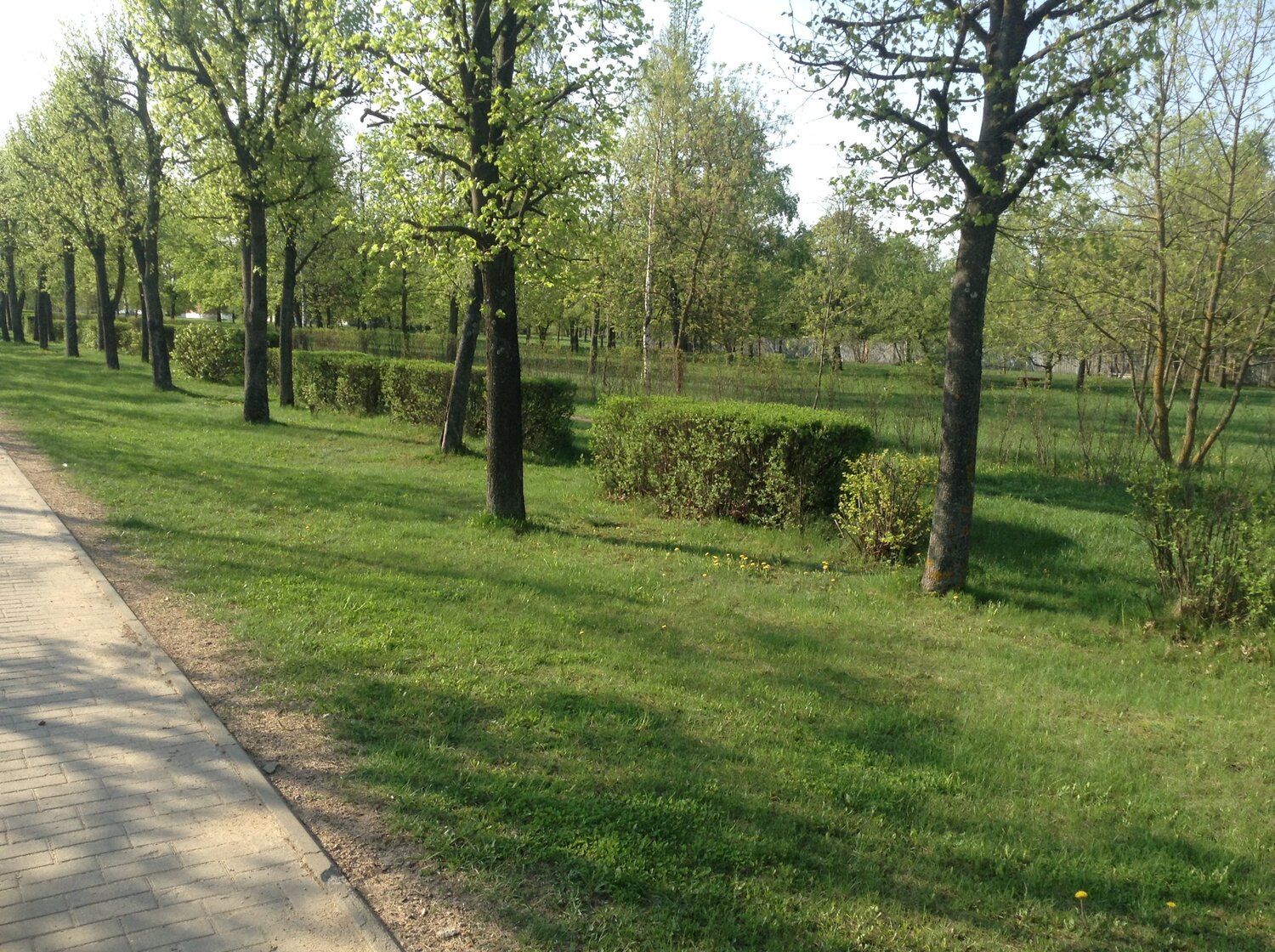 Photo #3690007