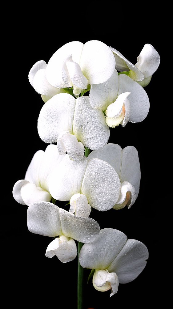 Photograph by Иван Мороз